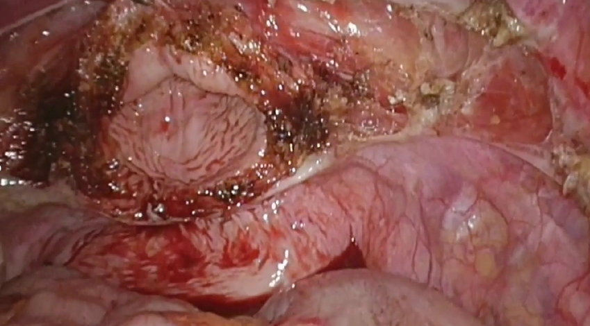 1742183672118722.png 推文(wén)2.png