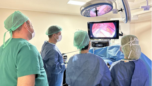 微(wēi)至醫(yī)療的(de)土(tǔ)耳其減重之旅